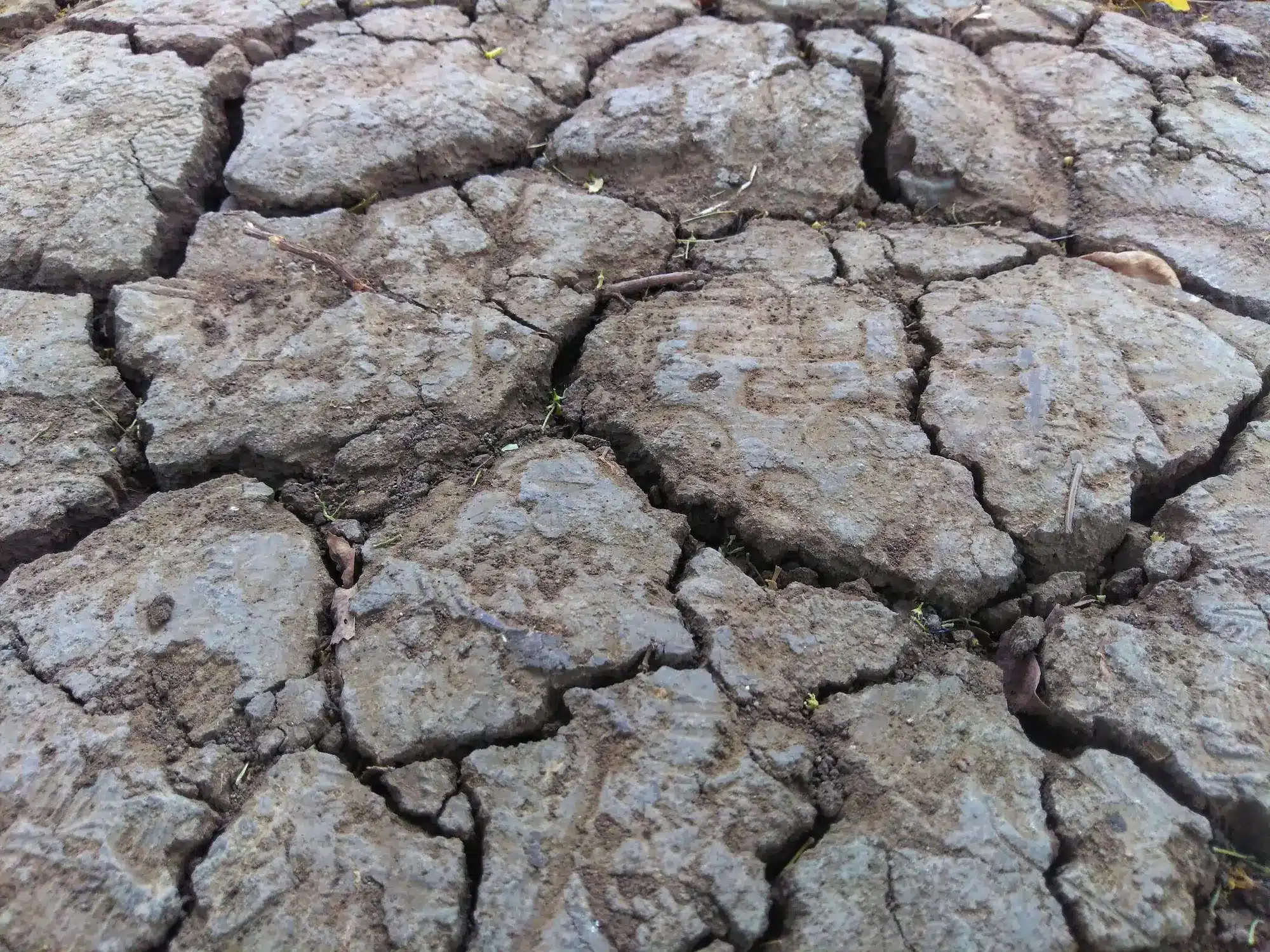Toilettes et eau : un enjeu sanitaire et environnemental majeur au XXIe siècle