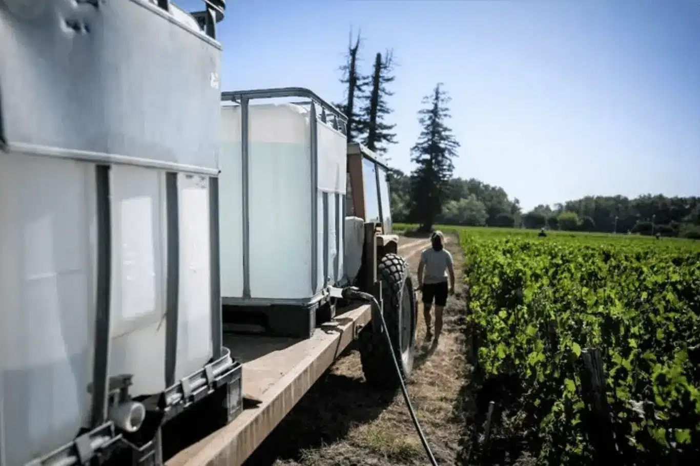 Réutilisation des eaux usées traitées : un levier de résilience agricole